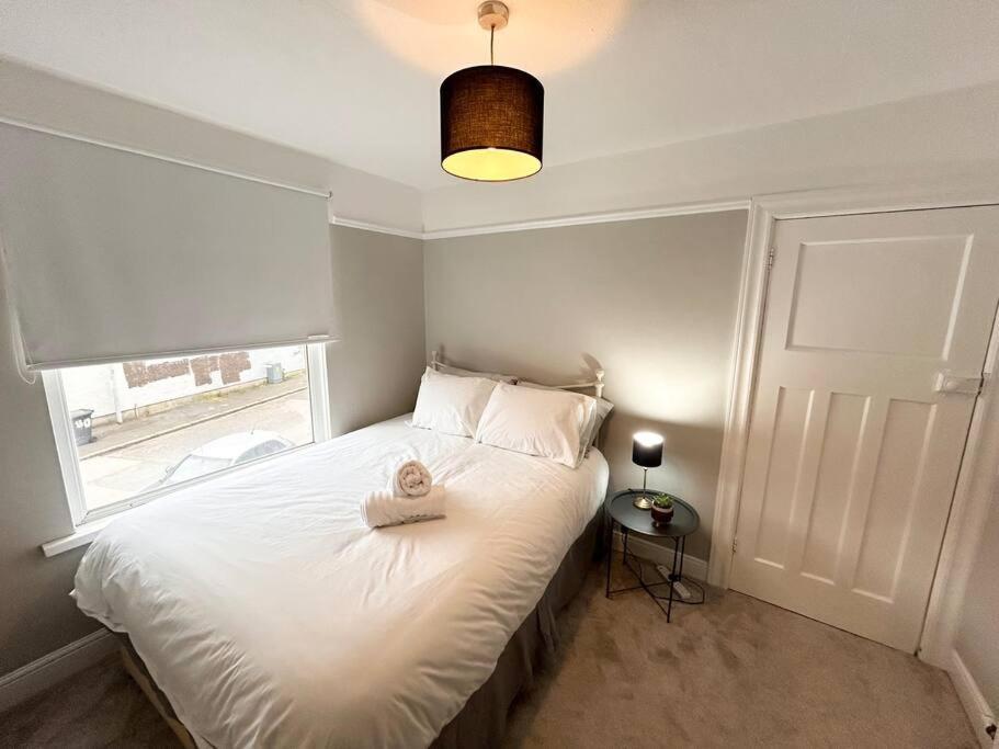 Snug Central Belfast Home, 2 Minutes From Ormeau Park! Kültér fotó
